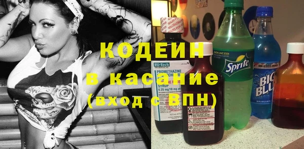 индика Сосновка