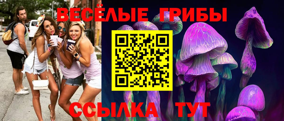 Псилоцибиновые грибы Psilocybine cubensis  Псилоцибиновые грибы Magic Shrooms  Коммунар  Вход с VPN 