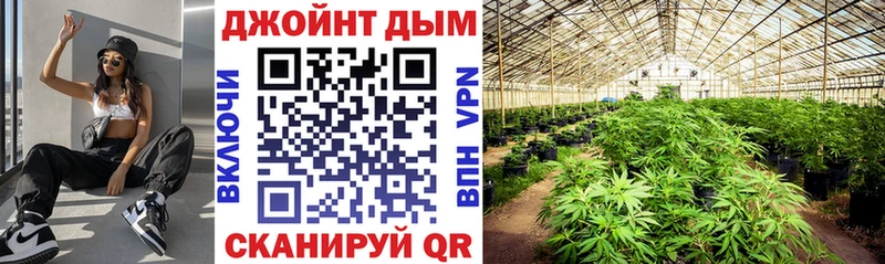 Бошки марихуана VHQ  как найти   Коммунар 